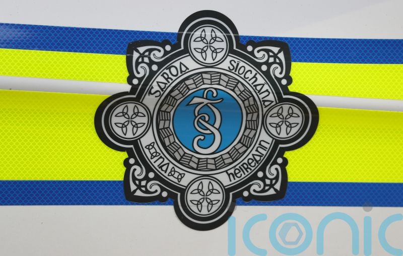 Woman died in County Wexford during an incident involving a vehicle